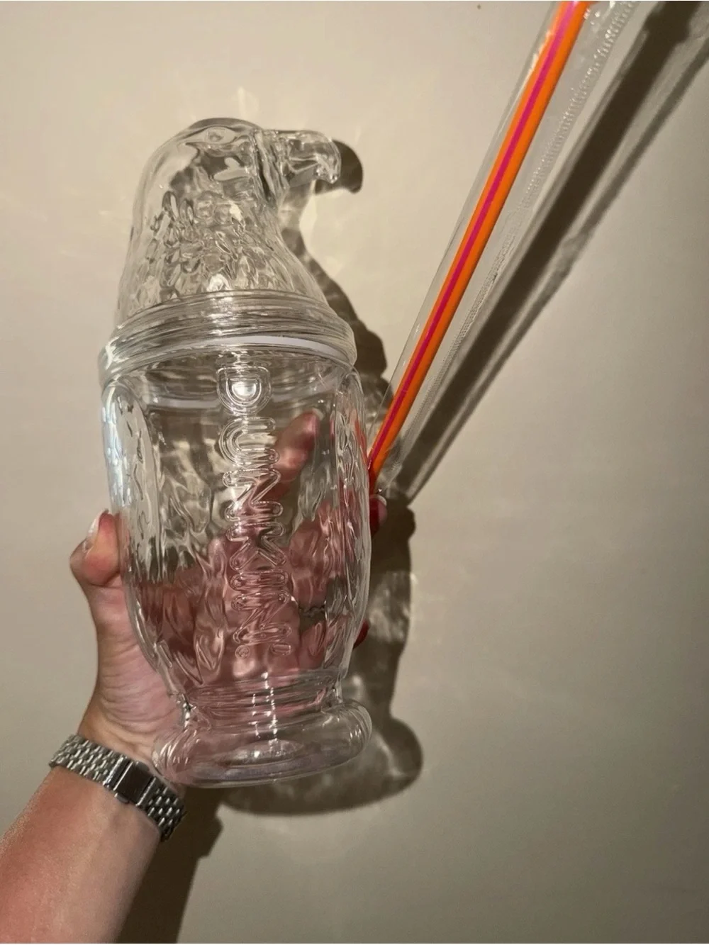 Clear Parrot-Shaped Drinking Tumbler with Multicolor Straw